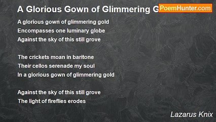 Lazarus Knix - A Glorious Gown of Glimmering Gold