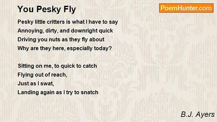 B.J. Ayers - You Pesky Fly