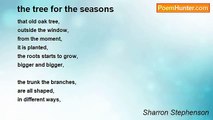 Sharron Stephenson - the tree for the seasons