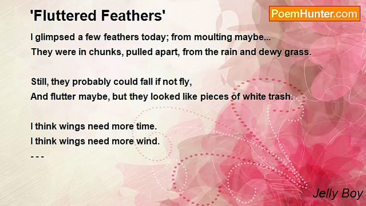 Jelly Boy - 'Fluttered Feathers'