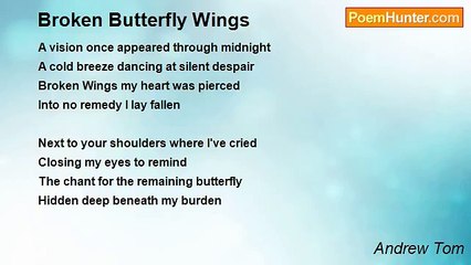 Andrew Tom - Broken Butterfly Wings