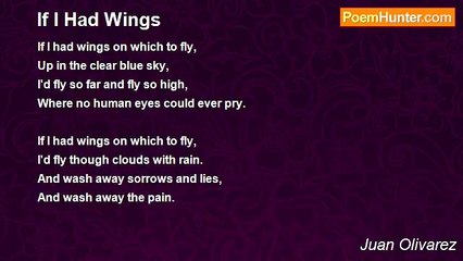 Juan Olivarez - If I Had Wings