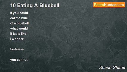Shaun Shane - 10 Eating A Bluebell
