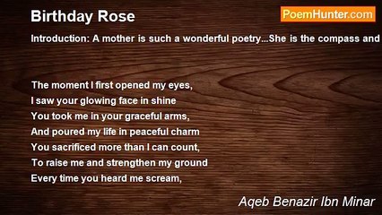 Aqeb Benazir Ibn Minar - Birthday Rose