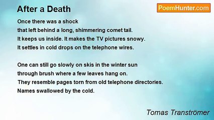 Tomas Tranströmer - After a Death