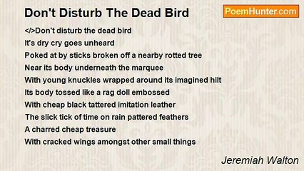 Jeremiah Walton - Don't Disturb The Dead Bird