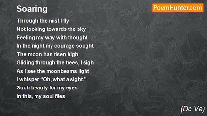 (De Va) - Soaring