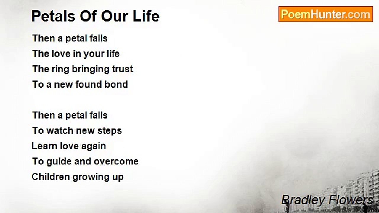 Bradley Flowers - Petals Of Our Life