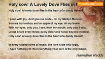 Harindhar Reddy - Holy cow! A Lovely Dove Flies in the Heart of a Dandy Hermit!