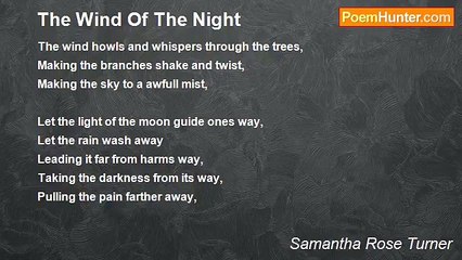 Samantha Rose Turner - The Wind Of The Night