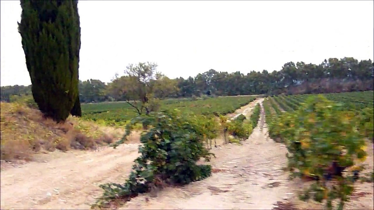 Canal du Midi à vélo - Déviation
