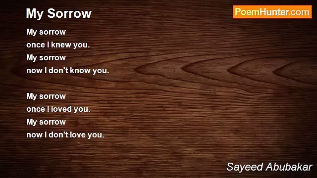 Sayeed Abubakar - My Sorrow