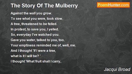 Jacqui Broad - The Story Of The Mulberry