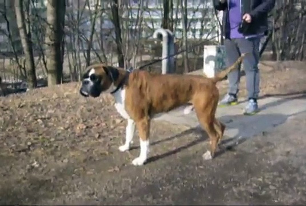 [+18 ~ Sexy Funny Girl]Scorpion King - ـ (Linus Looks for Scorpion King 2) - (Zombie Girls - part 5) الفتيات الجميلات