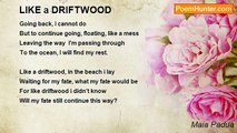 Maia Padua - LIKE a DRIFTWOOD