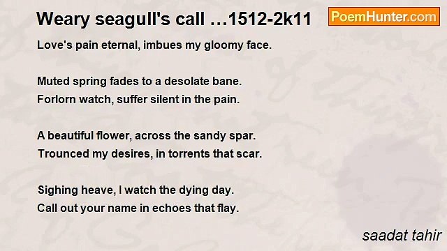 saadat tahir - Weary seagull's call …1512-2k11