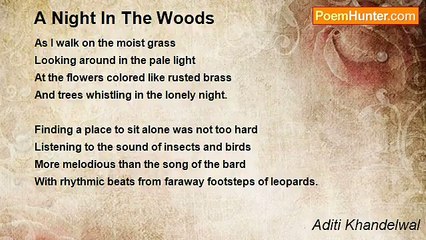 Aditi Khandelwal - A Night In The Woods