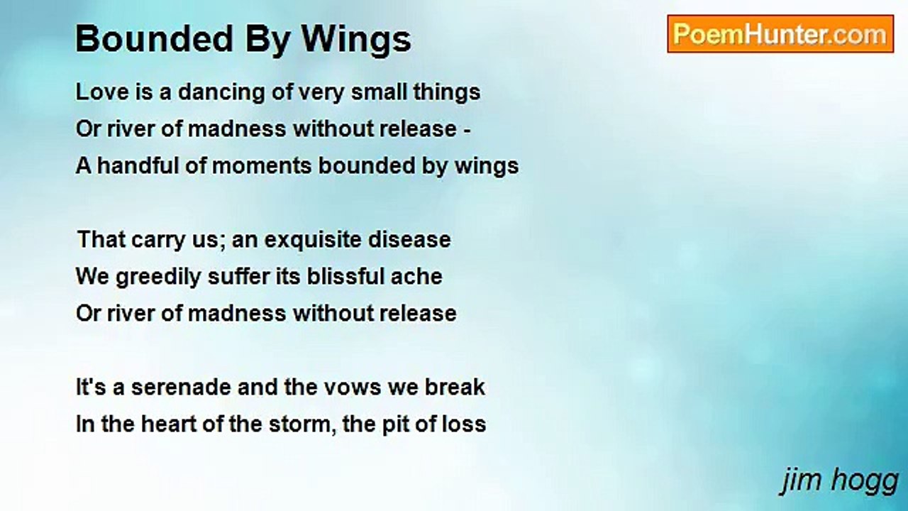 jim hogg - Bounded By Wings