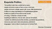 Denise Duhamel - Exquisite Politics