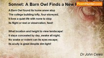 Dr John Celes - Sonnet: A Barn Owl Finds a New Home