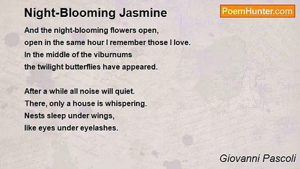 Giovanni Pascoli - Night-Blooming Jasmine
