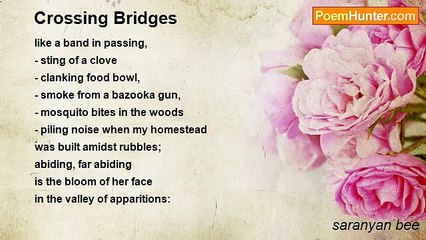 saranyan bee - Crossing Bridges