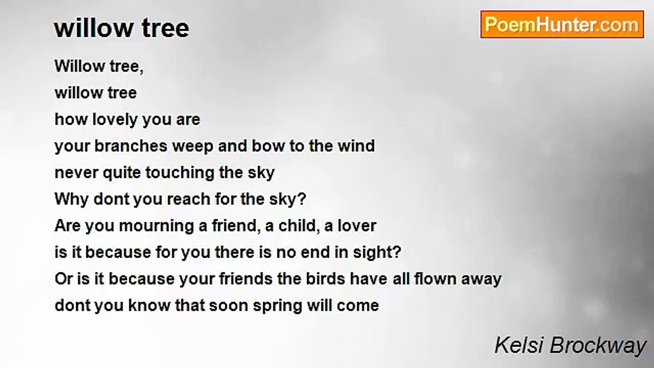 Kelsi Brockway - willow tree
