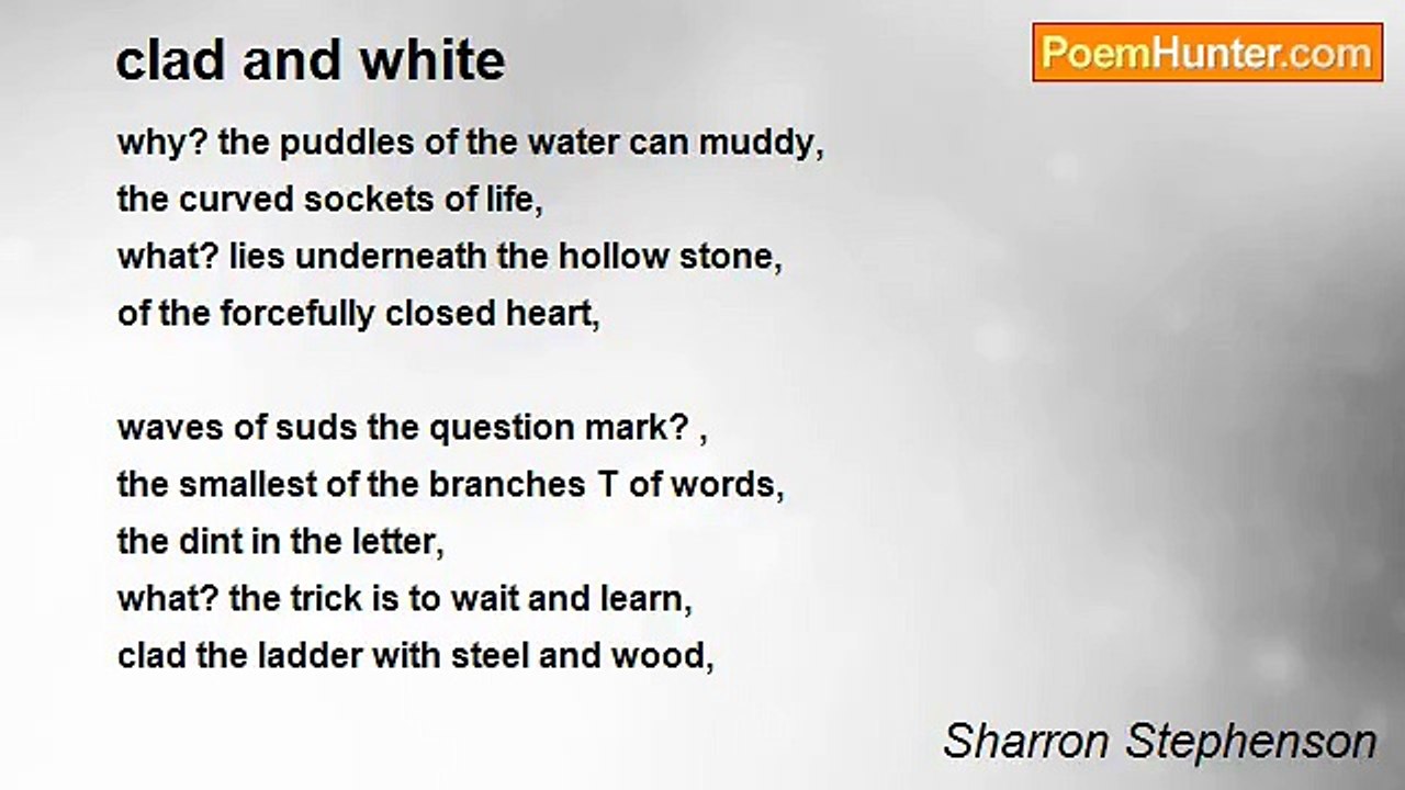 Sharron Stephenson - clad and white