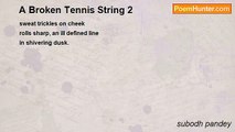 subodh pandey - A Broken Tennis String 2