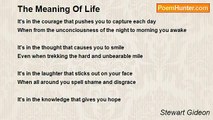 Stewart Gideon - The Meaning Of Life