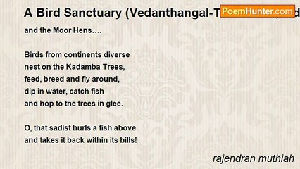 rajendran muthiah - A Bird Sanctuary (Vedanthangal-TamilNadu, India)