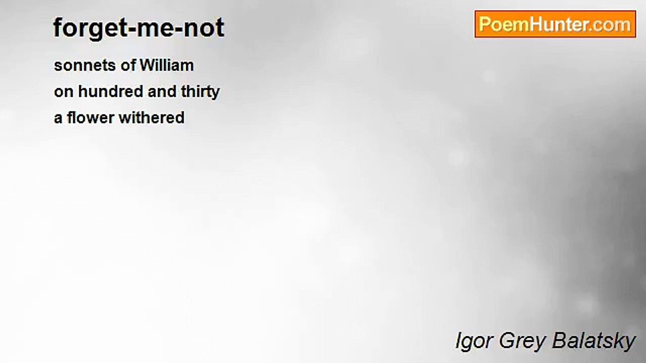 Igor Grey Balatsky - forget-me-not