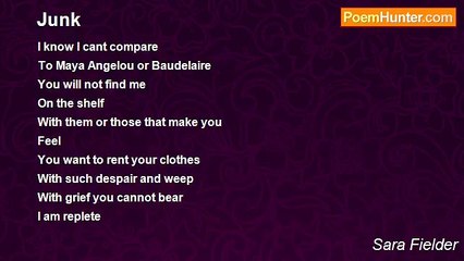 Sara Fielder - Junk