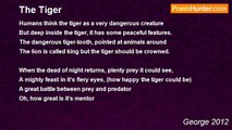 George 2012 - The Tiger