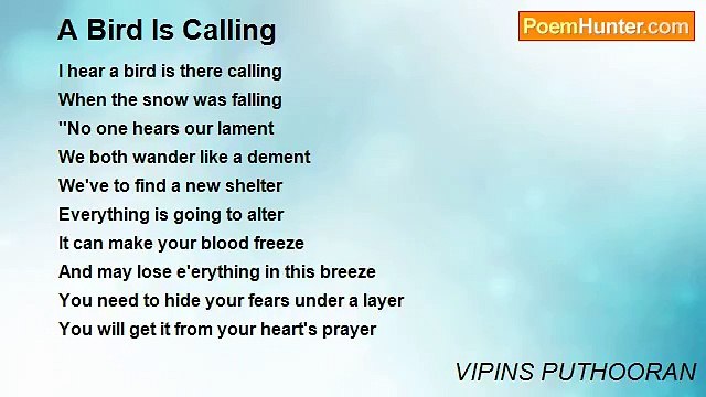 VIPINS PUTHOORAN - A Bird Is Calling