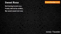 lonely Traveller - Sweet Rose