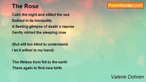 Valerie Dohren - The Rose