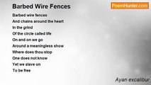 Ayan excalibur - Barbed Wire Fences