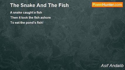 Asif Andalib - The Snake And The Fish