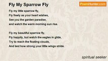 spiritual seeker - Fly My Sparrow Fly
