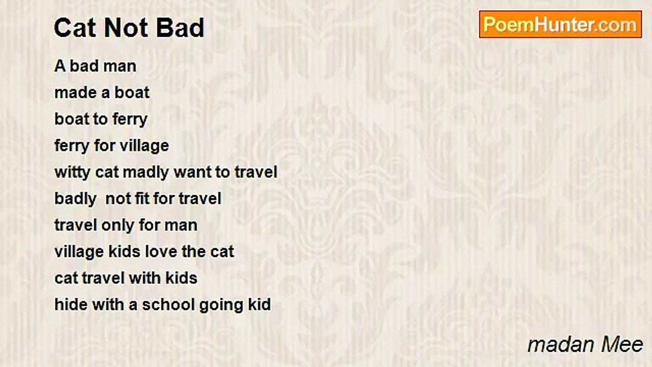 madan Mee - Cat Not Bad