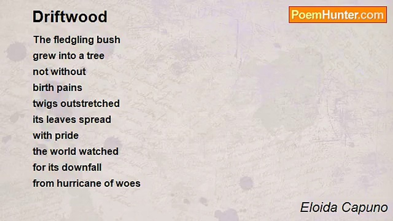 Eloida Capuno - Driftwood