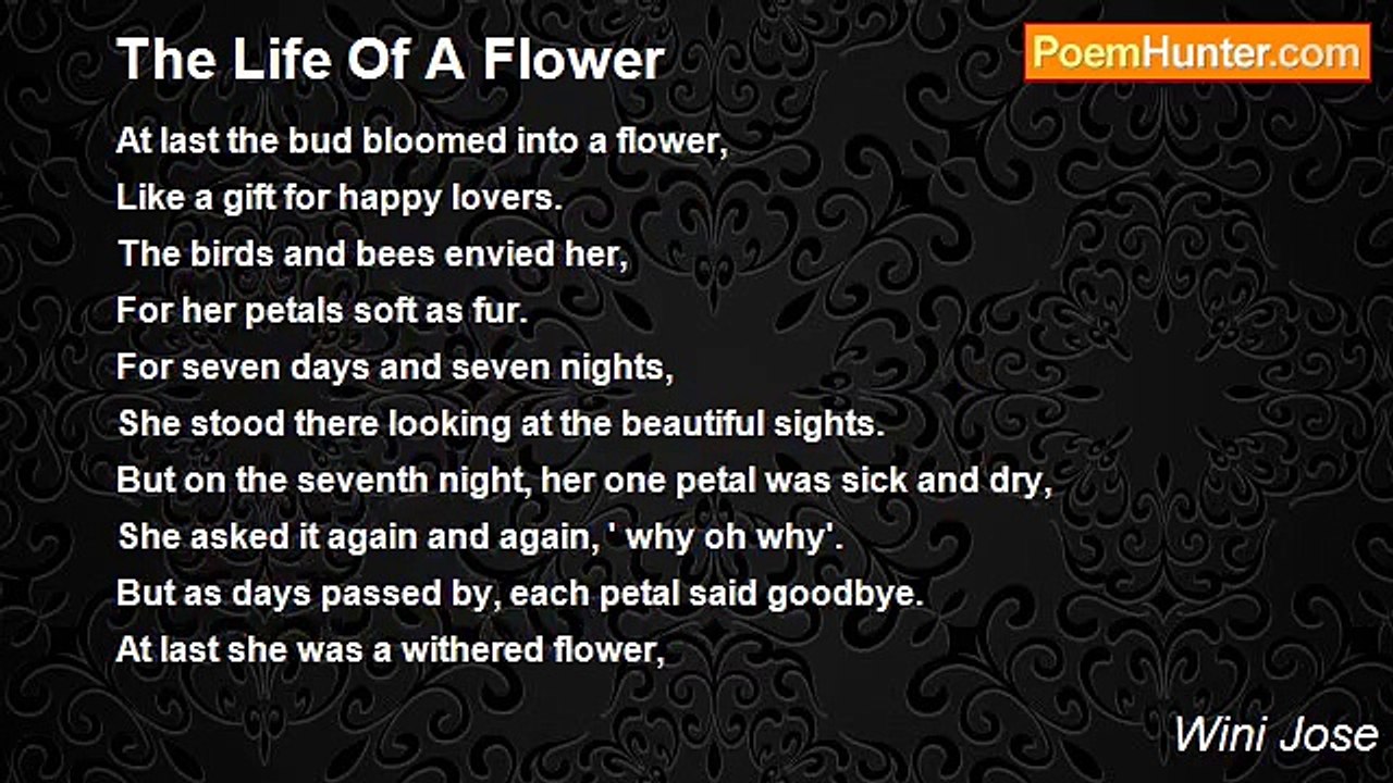 Wini Jose - The Life Of A Flower