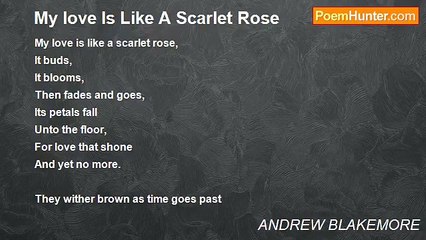 ANDREW BLAKEMORE - My love Is Like A Scarlet Rose
