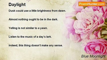 Blue Moonlight - Daylight