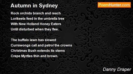 Danny Draper - Autumn in Sydney