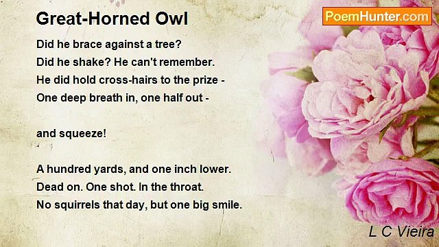 L C Vieira - Great-Horned Owl