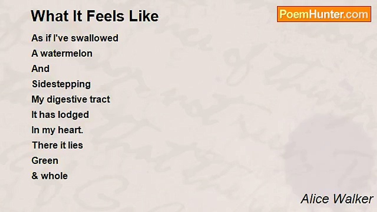 Alice Walker - What It Feels Like