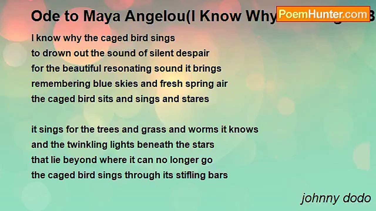 johnny dodo - Ode to Maya Angelou(I Know Why The Caged Bird Sings)