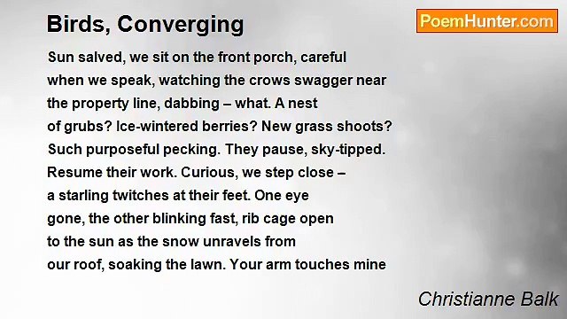 Christianne Balk - Birds, Converging